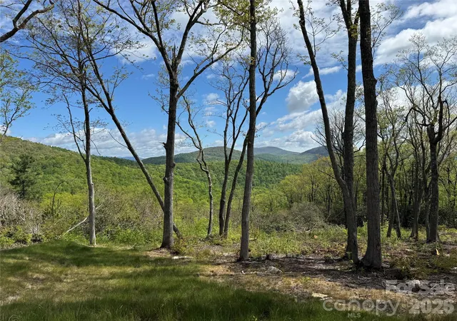 Photo 2 of Land for sale at Tbd E Garden Trl #45, Hendersonville, NC 28792 | MLS# 4376483 | Listing updated on 2026-04-30