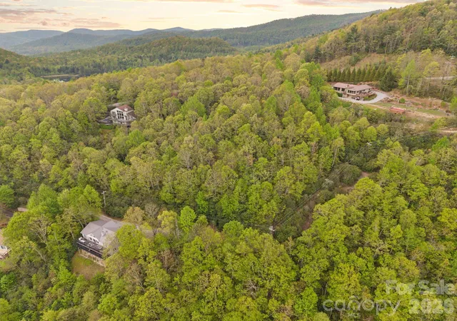 2nd image of Tbd Pinnacle Mountain Rd, Zirconia, NC 28790 | MLS# 4376490