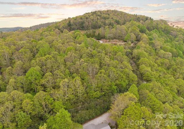 4th image of Tbd Pinnacle Mountain Rd, Zirconia, NC 28790 | MLS# 4376490