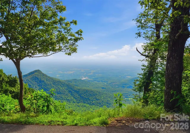 Homes for sale in Columbus, NC | 845 Morning Ride Dr, Columbus, NC 28722 | MLS# 4376512
