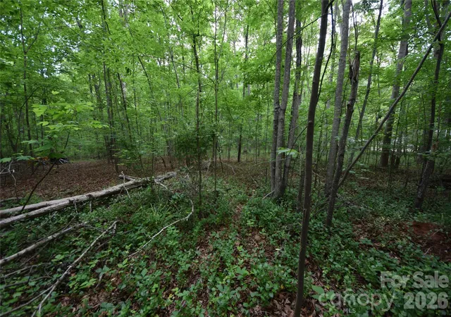 Photo 1 of Land for sale at 3007 Paraham Rd S, York, SC 29745 | MLS# 4376559 | Listing updated on 2026-09-25