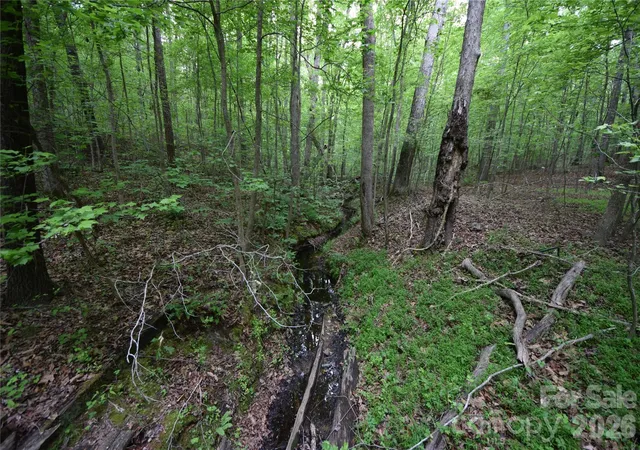 Photo 3 of Land for sale at 3007 Paraham Rd S, York, SC 29745 | MLS# 4376559 | Listing updated on 2026-09-25