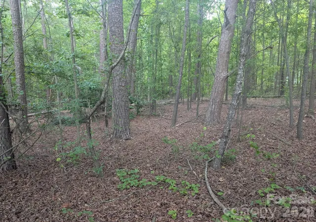 Homes for sale in Oakboro, NC | 129 Acres 320 W Red Cross Rd, Oakboro, NC 28129 | MLS# 4376715