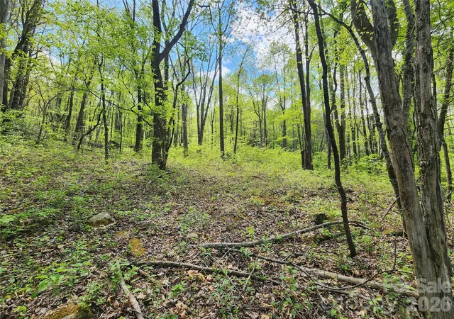 1st image of 165 Wagon Wheel Wy #2, Canton, NC 28716 | MLS# 4376752