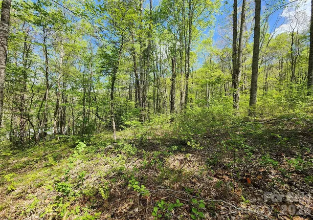 12th image of 165 Wagon Wheel Wy #2, Canton, NC 28716 | MLS# 4376752