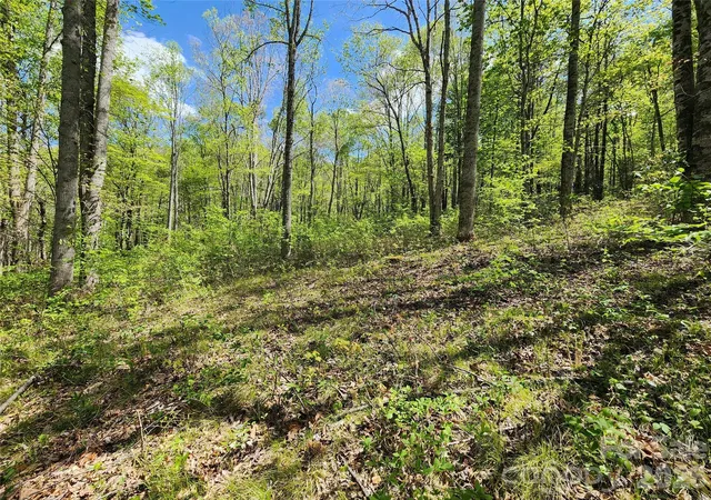 2nd image of 165 Wagon Wheel Wy #2, Canton, NC 28716 | MLS# 4376752
