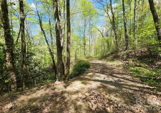 Photo 3 of Land for sale at 165 Wagon Wheel Way #2, Canton, NC 28716 | MLS# 4376752 | Listing updated on 2026-09-09