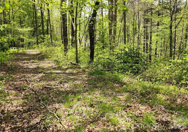Photo 3 of Land for sale at 165 Wagon Wheel Way #2, Canton, NC 28716 | MLS# 4376752 | Listing updated on 2026-09-09