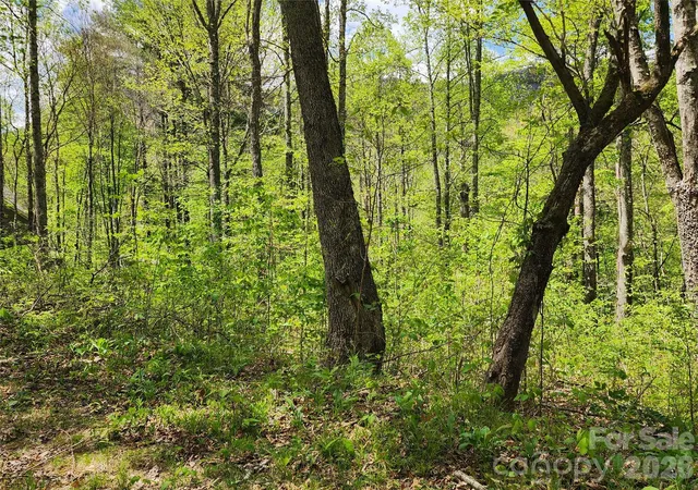 Photo 4 of Land for sale at 165 Wagon Wheel Way #2, Canton, NC 28716 | MLS# 4376752 | Listing updated on 2026-09-09