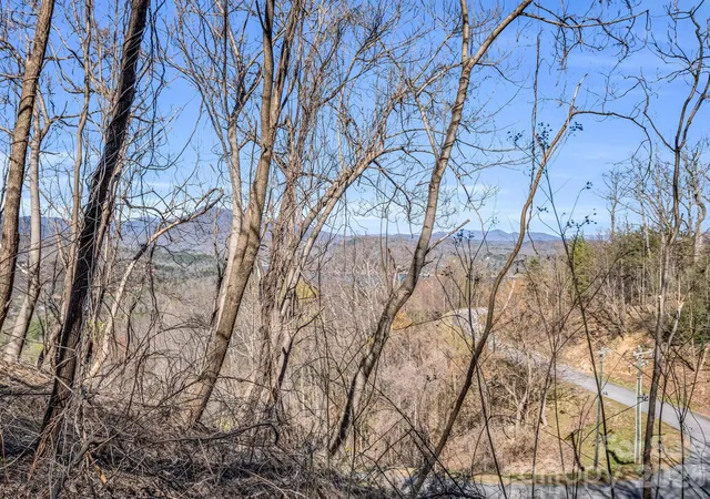 19th image of 0 Clear Creek Trl #30, Lake Lure, NC 28746 | MLS# 4376841