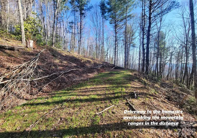 Homes for sale in Waynesville, NC | 111 Digging Seng Trl #138, Waynesville, NC 28785 | MLS# 4376873
