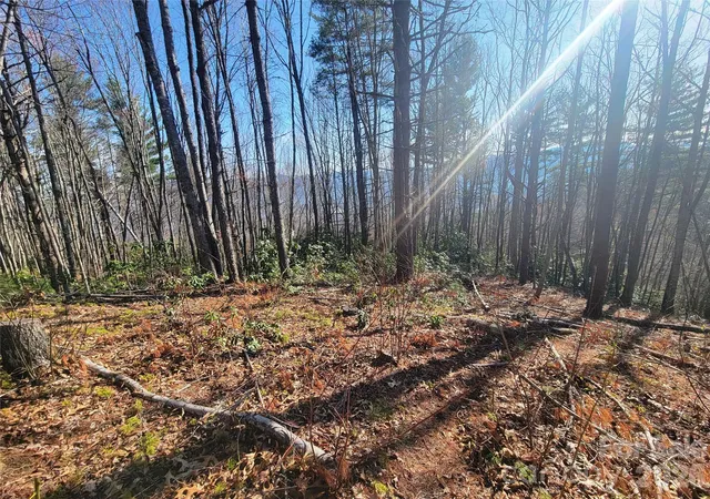 5th image of 111 Digging Seng Trl #138, Waynesville, NC 28785 | MLS# 4376873