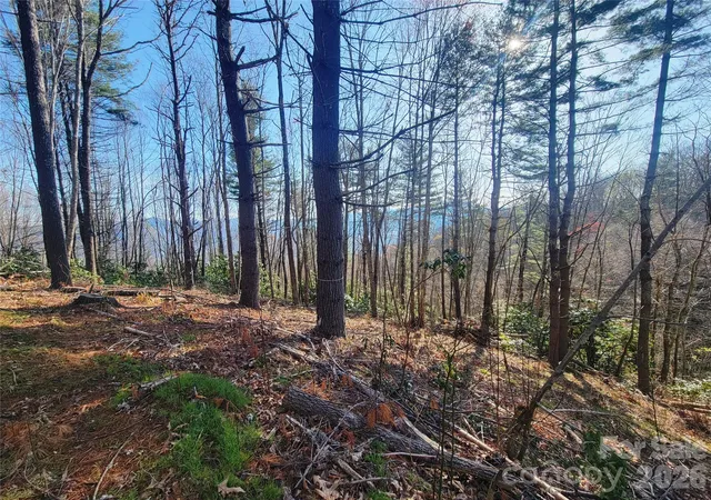 Photo 3 of Land for sale at 111 Digging Seng Trl #138, Waynesville, NC 28785 | MLS# 4376873 | Listing updated on 2026-09-11