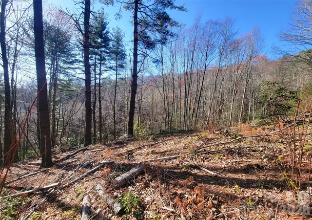 3rd image of 111 Digging Seng Trl #138, Waynesville, NC 28785 | MLS# 4376873