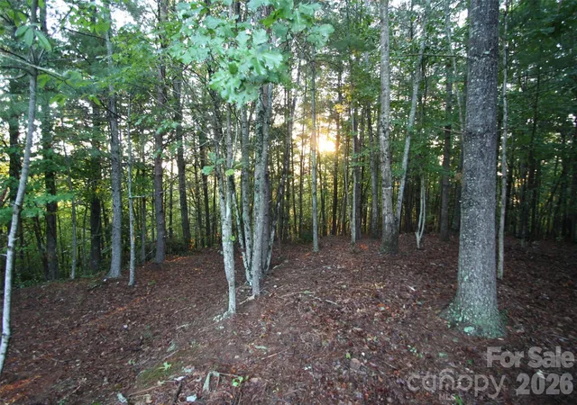 Homes for sale in Lenoir, NC | Tbd Poplar Bluff Dr #36, Lenoir, NC 28645 | MLS# 4376981