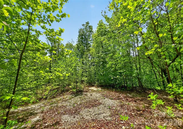 Photo 3 of Land for sale at 0 Bobcat Dr #741, Old Fort, NC 28762 | MLS# 4377108 | Listing updated on 2026-09-29