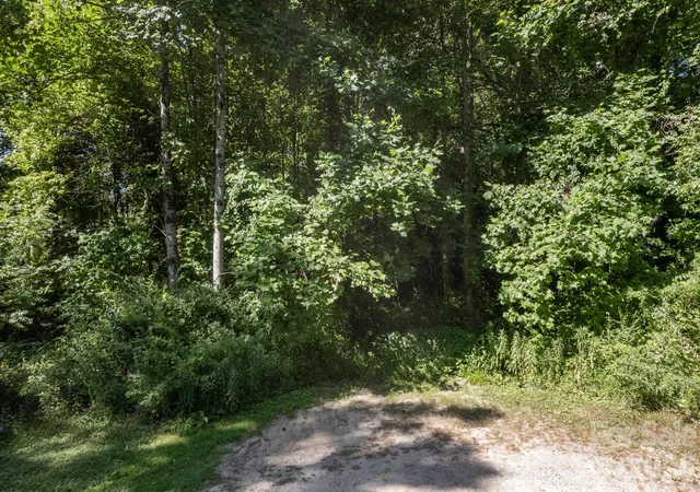 Photo 3 of Land for sale at 17 Chicago Ave, Black Mountain, NC 28711 | MLS# 4377444 | Listing updated on 2026-07-22