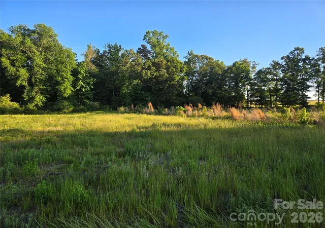 Homes for sale in Marshville, NC | 0000 218 Hwy E, Marshville, NC 28103 | MLS# 4377466