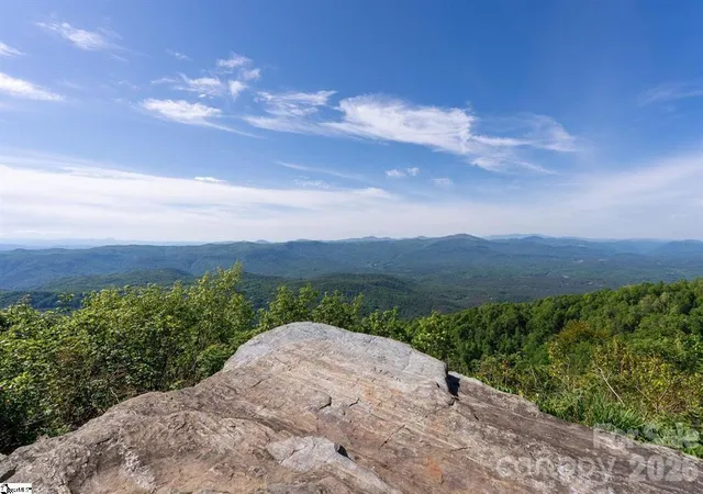 48th image of 240 Morning Ride Dr, Columbus, NC 28722 | MLS# 4377490