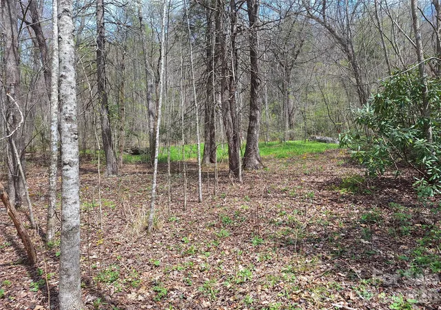 Homes for sale in Old Fort, NC | 946 Lake Rd, Old Fort, NC 28762 | MLS# 4377544