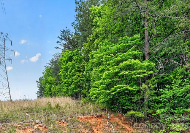 Photo 4 of Land for sale at 99999 Wright Rd, Marion, NC 28752 | MLS# 4377625 | Listing updated on 2026-08-31