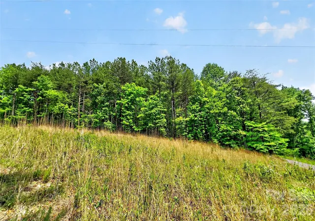 Photo 5 of Land for sale at 99999 Wright Rd, Marion, NC 28752 | MLS# 4377625 | Listing updated on 2026-08-31