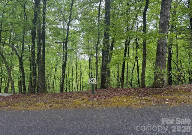 1st image of 39 Black Bear Ridge Trl #20, Zirconia, NC 28790 | MLS# 4377672