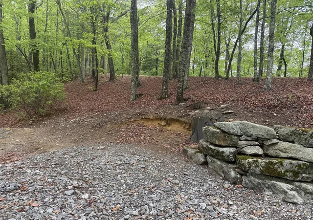 3rd image of 39 Black Bear Ridge Trl #20, Zirconia, NC 28790 | MLS# 4377672