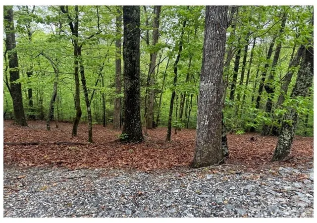 5th image of 39 Black Bear Ridge Trl #20, Zirconia, NC 28790 | MLS# 4377672