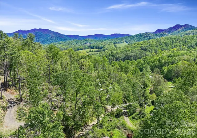 Homes for sale in Bakersville, NC | 615 Fred Sparks Rd, Bakersville, NC 28705 | MLS# 4377708