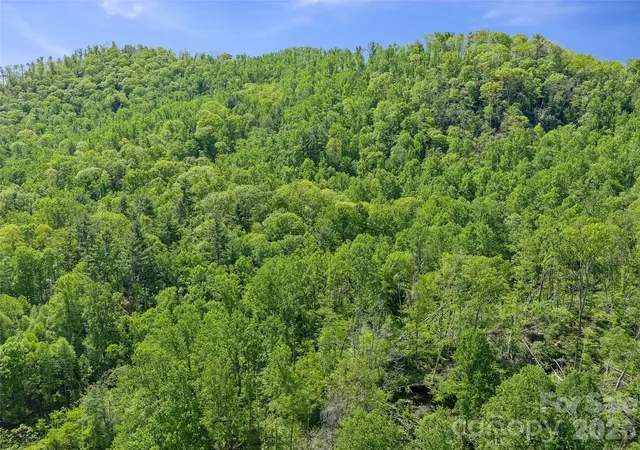 Homes for sale in Bakersville, NC | 615 Fred Sparks Rd, Bakersville, NC 28705 | MLS# 4377708