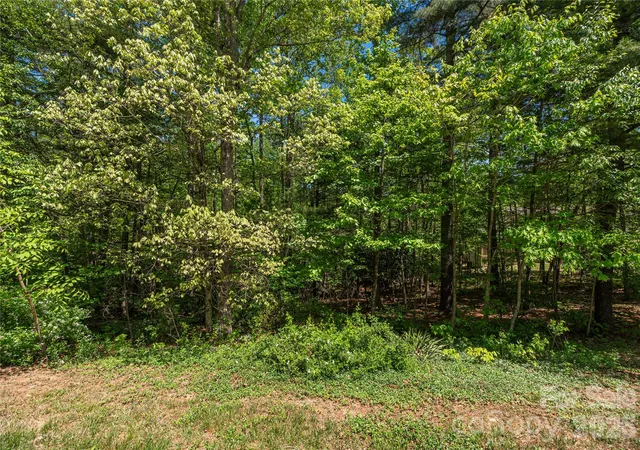 2nd image of 305 Freedom Trail Ct, Zirconia, NC 28790 | MLS# 4377878