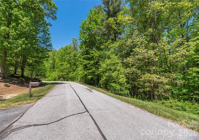 3rd image of 305 Freedom Trail Ct, Zirconia, NC 28790 | MLS# 4377878