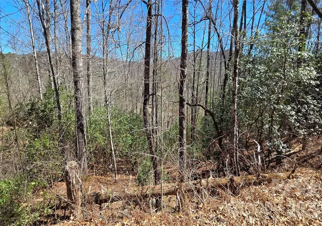 Homes for sale in Balsam Grove, NC | 90 Kimiko Ln S #30&31, Balsam Grove, NC 28708 | MLS# 4378020