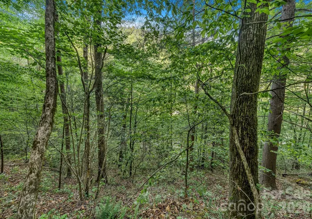 Homes for sale in Marshall, NC | 31 Caddis Ct, Marshall, NC 28753 | MLS# 4378031