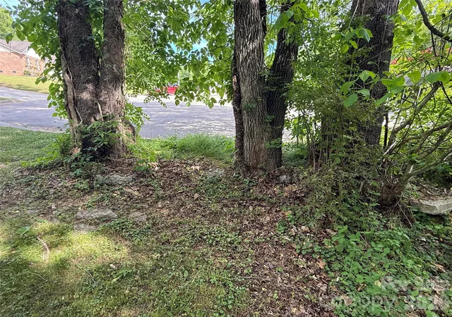 4th image of 0 Azalea Ln, China Grove, NC 28023 | MLS# 4378076