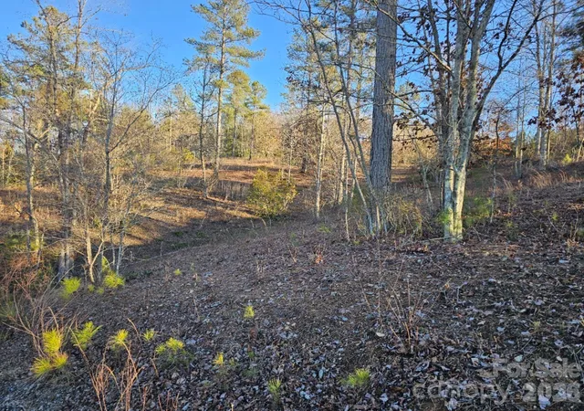 Photo 3 of Land for sale at 2167 Inlet Shore Rd Ne, Connellys Springs, NC 28612 | MLS# 4378088 | Listing updated on 2026-05-05