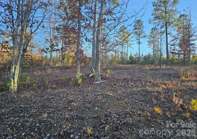Photo 3 of Land for sale at 2167 Inlet Shore Rd NE, Connellys Springs, NC 28612 | MLS# 4378088 | Listing updated on 2026-05-05