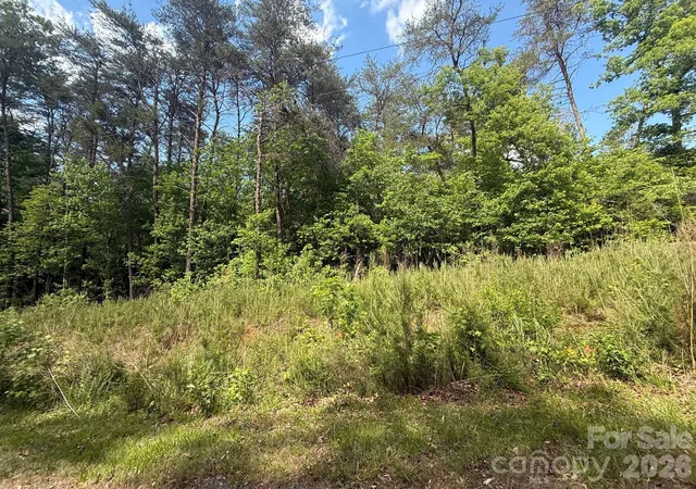 Homes for sale in Troy, NC | 124 Sanford Ct #692, Troy, NC 27371 | MLS# 4378396