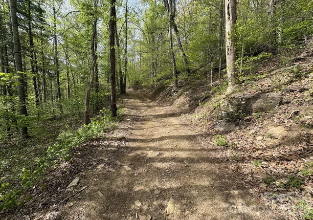 Photo 3 of Land for sale at 999999 Harwood Rd #2, Barnardsville, NC 28709 | MLS# 4378410 | Listing updated on 2026-05-06