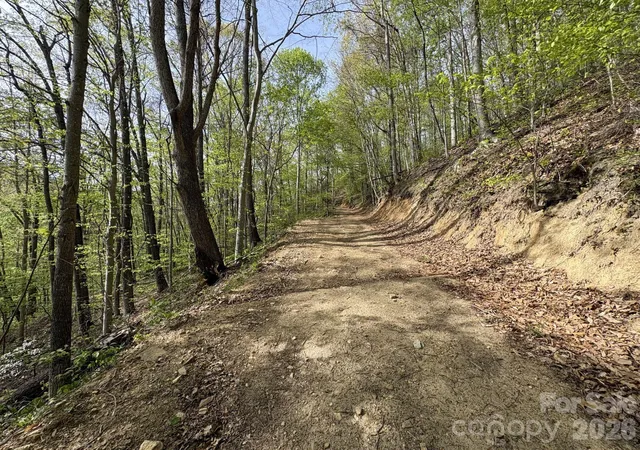 Photo 3 of Land for sale at 999999 Harwood Rd #2, Barnardsville, NC 28709 | MLS# 4378410 | Listing updated on 2026-05-06