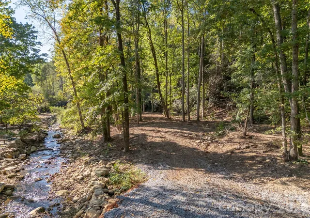4th image of 0 Firefly Cvs #9, Lake Lure, NC 28746 | MLS# 4378412