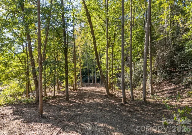 5th image of 0 Firefly Cvs #9, Lake Lure, NC 28746 | MLS# 4378412