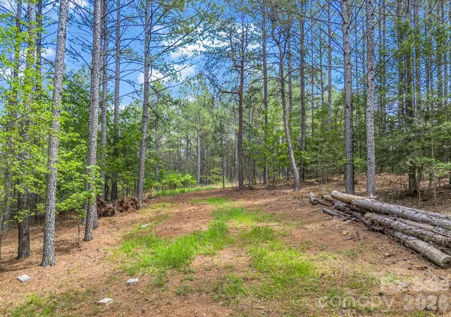 3rd image of 111 Cranberry Ln, Mooresboro, NC 28114 | MLS# 4378500