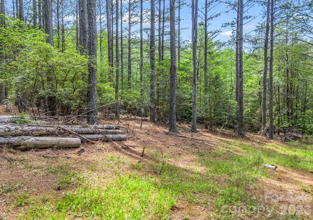 4th image of 111 Cranberry Ln, Mooresboro, NC 28114 | MLS# 4378500