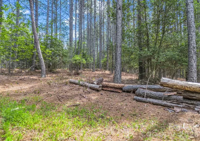5th image of 111 Cranberry Ln, Mooresboro, NC 28114 | MLS# 4378500