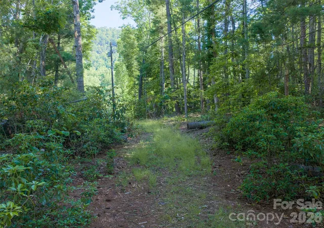 Photo 3 of Land for sale at 000 Mountain Laurel Ln, Fletcher, NC 28732 | MLS# 4378557 | Listing updated on 2026-09-29