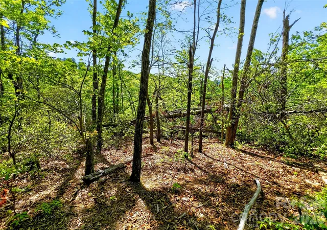 Photo 3 of Land for sale at 131-133 Mckenzie Way N, Old Fort, NC 28762 | MLS# 4378662 | Listing updated on 2026-09-29