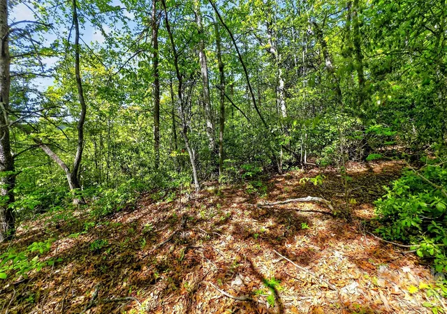 Photo 4 of Land for sale at 131-133 Mckenzie Way N, Old Fort, NC 28762 | MLS# 4378662 | Listing updated on 2026-09-29