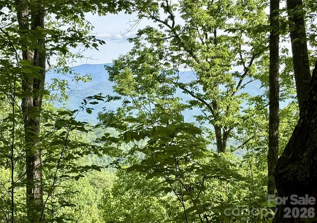 Homes for sale in Bryson City, NC | 0 Carpenter Rd, Bryson City, NC 28713 | MLS# 4378862